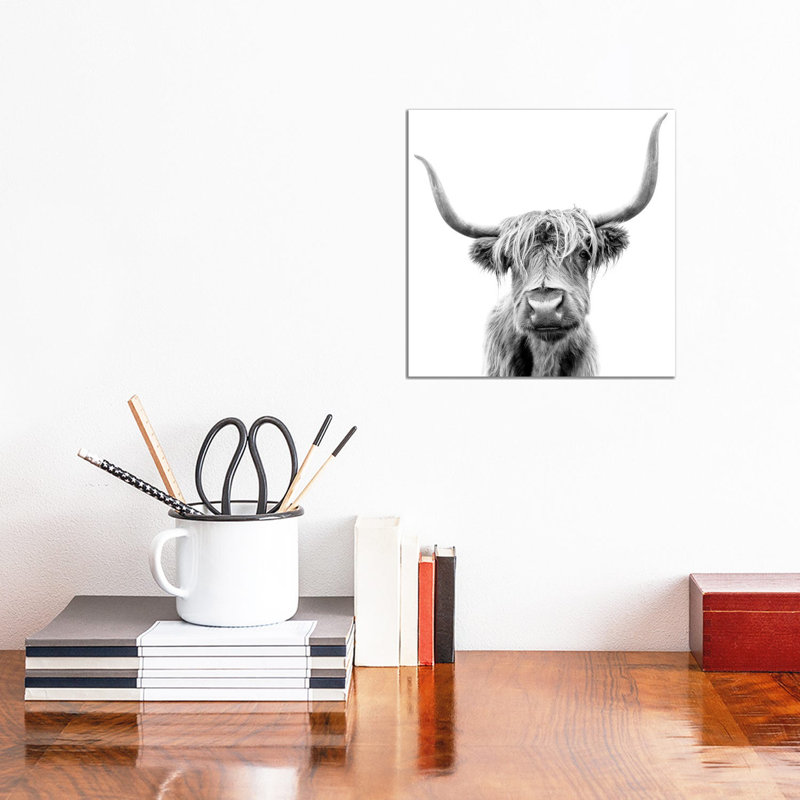 Scottish Highland Cattle - Wrapped Canvas Print, 30.48cm H x 30.48cm W x 1.91cm D