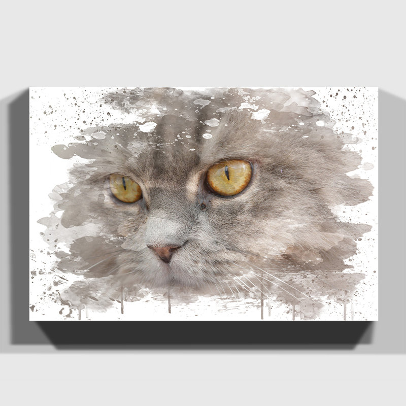 Cat Eyes 8 - Wall Art, 35cm H x 50cm W, Wrapped Canvas