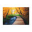 No Frame Print on Canvas-721440112