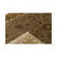 Dharma Oriental Area Rug in Camel/Ivory