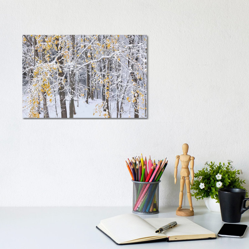Goodbye Autumn by Brian Wolf - Wrapped Canvas Print, 20.32cm H x 30.48cm W x 1.91cm D