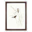 Double-Barred Finch by Elizabeth Gould - Framed Print-55545732-55545733