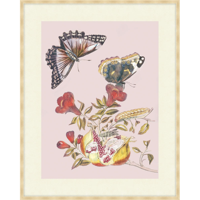 Fruit And Flutterby 1 Print, 28.75" H x 23.75" W