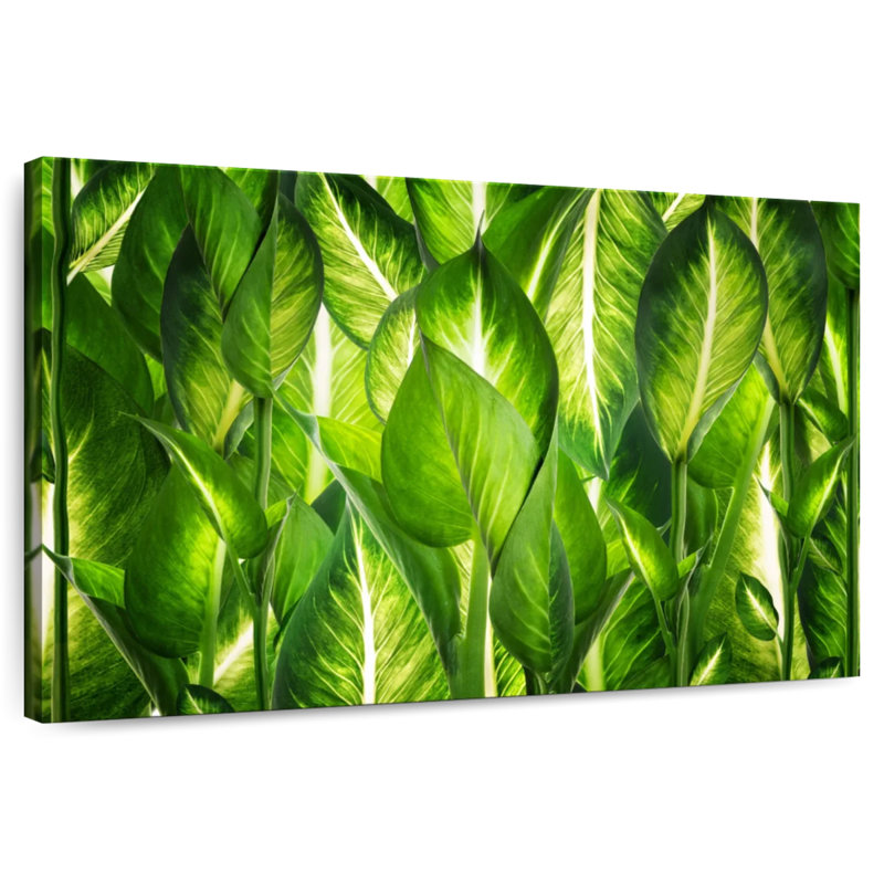 Feuilles vertes Harnek rétroéclairées, H 8 po x l 12 po