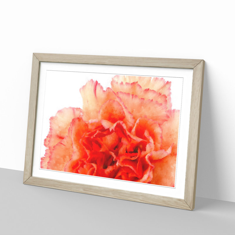 Orange Carnation Flower - Picture Frame Graphic Art Print, 33cm H x 45cm W x 2cm D, Oak Framed