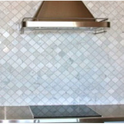 12 po x 12 po Carrara White