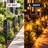 Solar Flickering Flame Pathway Lights with Decorative Cutout Pattern, Outdoor Garden & Patio Accent Lighting