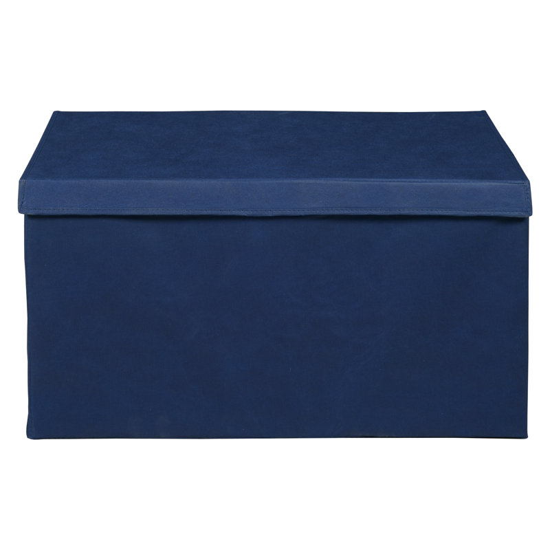 Niche Cubo Foldable Fabric Storage Trunk with Label Holder, Blue