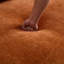 Canapé-1680055844-1680055840