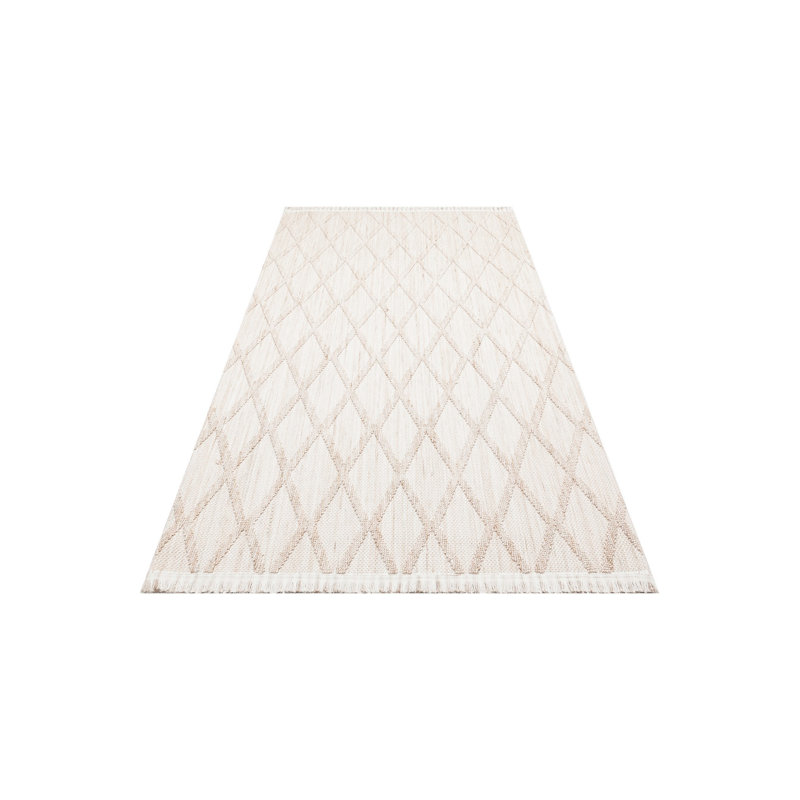 Stylish Hall Carpet, 100% Polyester, 31.5 x 59.1 inches | No Pile, Flat Weave, Machine Woven | Durable & Easy to Clean, Vacuum & Spot Remover Safe | Elegant Beige, Perfect for Entryways & Living Spaces