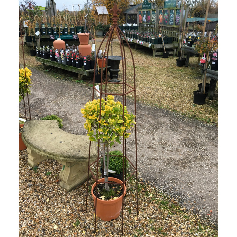 Amina Obelisk Trellis, 160cm H x 38cm W x 38cm D, Brown