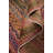 Vegetable Dye Ziegler Oriental Area Rug 8x10