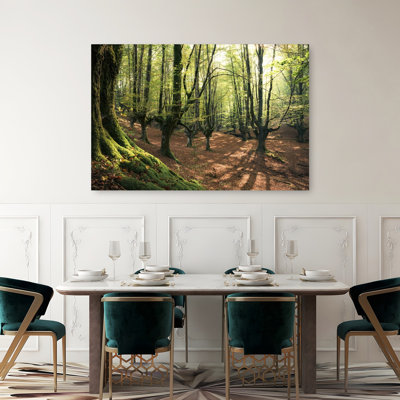 «Forest Love», reproduction d'art contemporain de paysage forestier abstrait