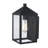 Storm Iron Wall Light
