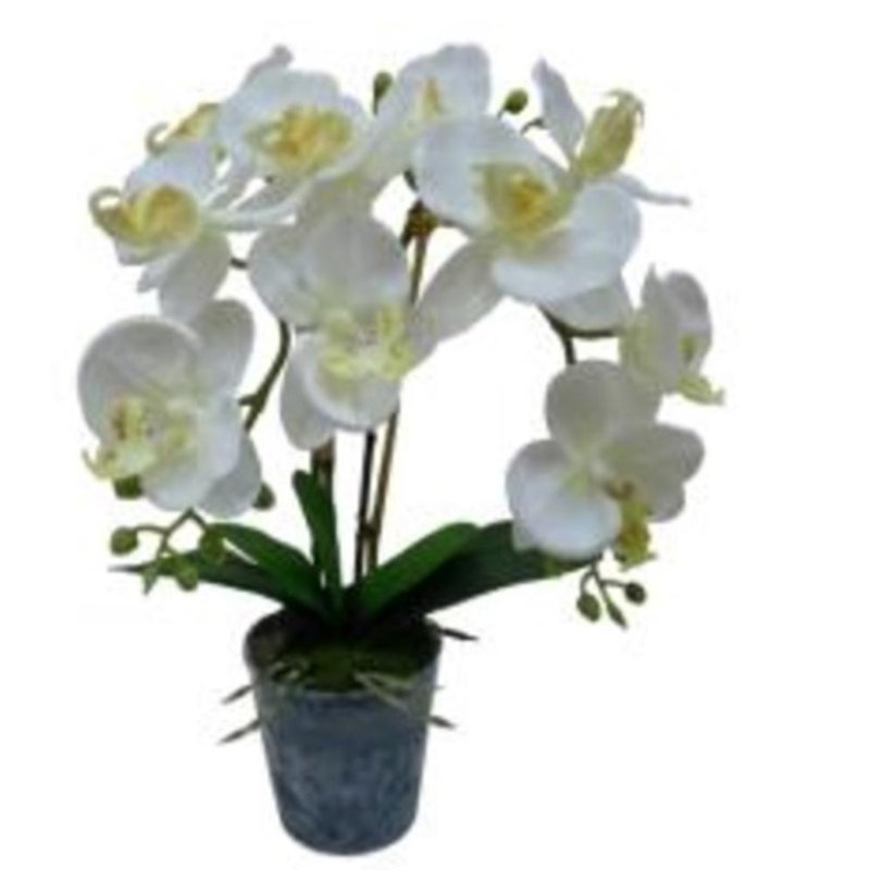 Plante artificielle orchidée phalaenopsis, Jaune vif, H 27,75 po x l 22,5 po x P 22,5 po