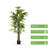 Artificial Bamboo Tree In Nursery Pot-1752342308