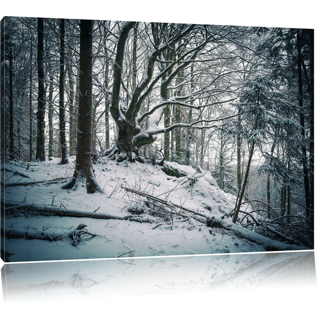 Leinwandbild Wald mit Schnee bedeckt