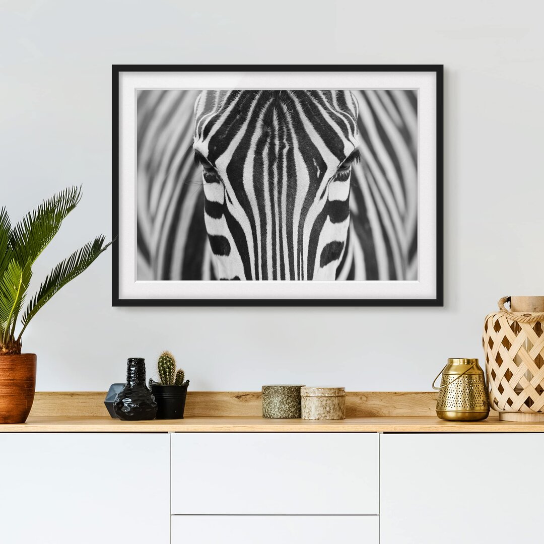 Gerahmtes Poster Zebra Look