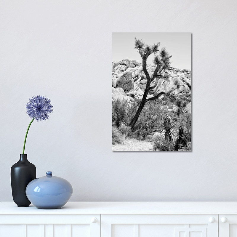 Black California Series - Joshua Tree National Park - Wrapped Canvas Print, 30.48 cm H x 45.72 cm W