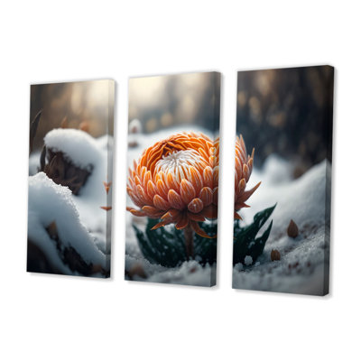 A Blooming Orange Dahlia Flower In Winter II - 3 Piece Print Set on Canvas -  Latitude Run®, 81EFC68E7C9C438489A1A5B818314453