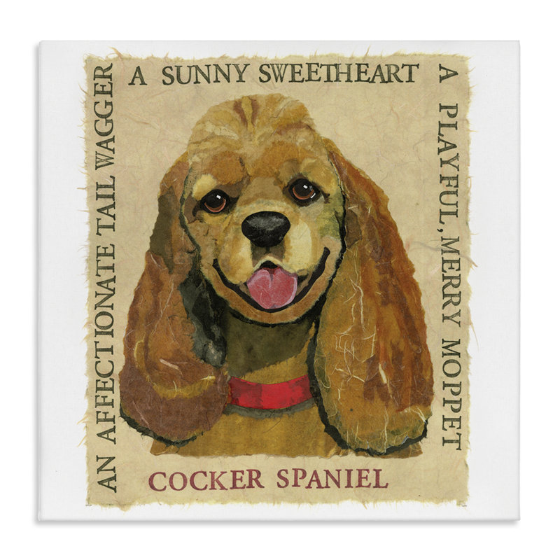 "Fun Cocker Spaniel", art mural sur toile par Sangita Bachelet, H 17 po x l 17 po