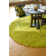 Bonney Wool Indoor Rug