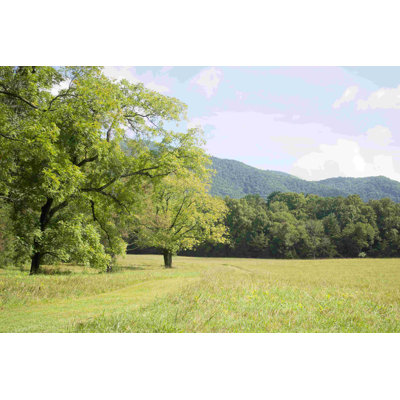 " Gatlinburg Smoky Mountains 10 "