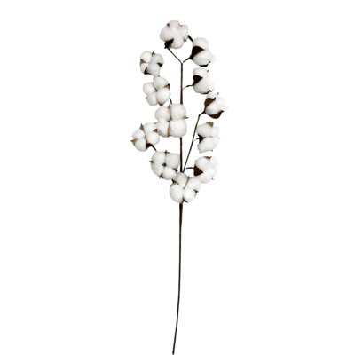 Vaporisateur de coton 27,5 pouces 12p