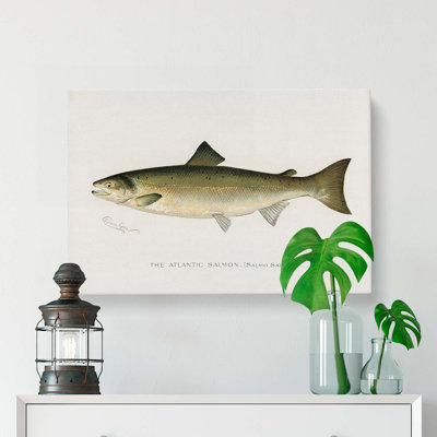 Atlantic Salmon by Sherman F. Denton - Wrapped Canvas Painting Pint - Wrapped Canvas