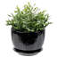 Pot à fleurs rond en céramique-251615363