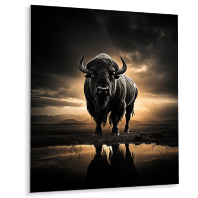 " Black White Buffalo Silhouette Serenade II "