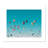 Sky Symphony-93876315-93876345-93876368