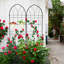 Ensemble de 4 treillis de jardin en métal 78,7 "x 19,7" antirouille pour plantes grimpantes