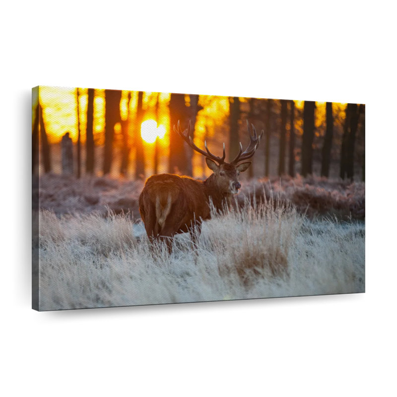 «Forest Deer Hunting», reproduction sur toile tendue, H 20 po x l 30 po x P 1,25 po