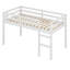 Wooden Loft Bed With Ladder-1049872959