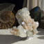 Atiyanna Gemmy Apophyllite & Stilbite avec Scolecite