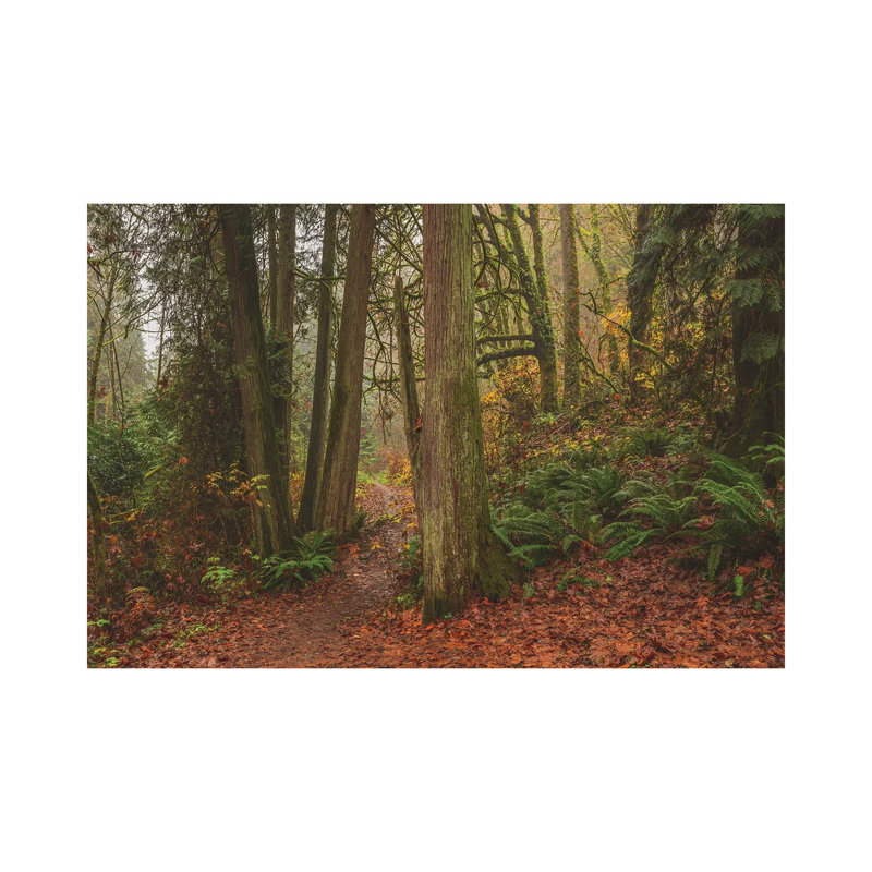 A Fairytale Like Forest by Louis Ruth - Wrapped Canvas Print, 30.48cm H x 45.72cm W x 1.91cm D
