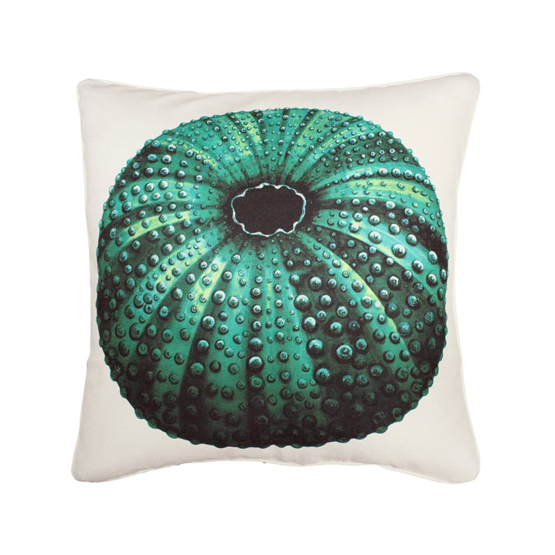  Coussin Sea Urchin