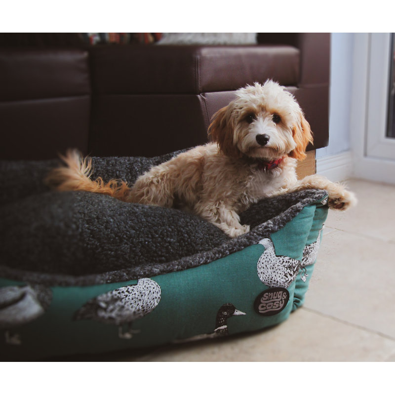 Benoit Pet Bed, 109cm W x 82cm D x 33cm H