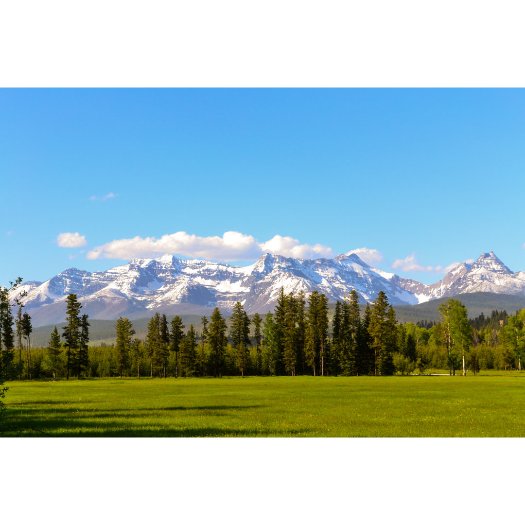 Leinwandbild Meadow in Western Montana