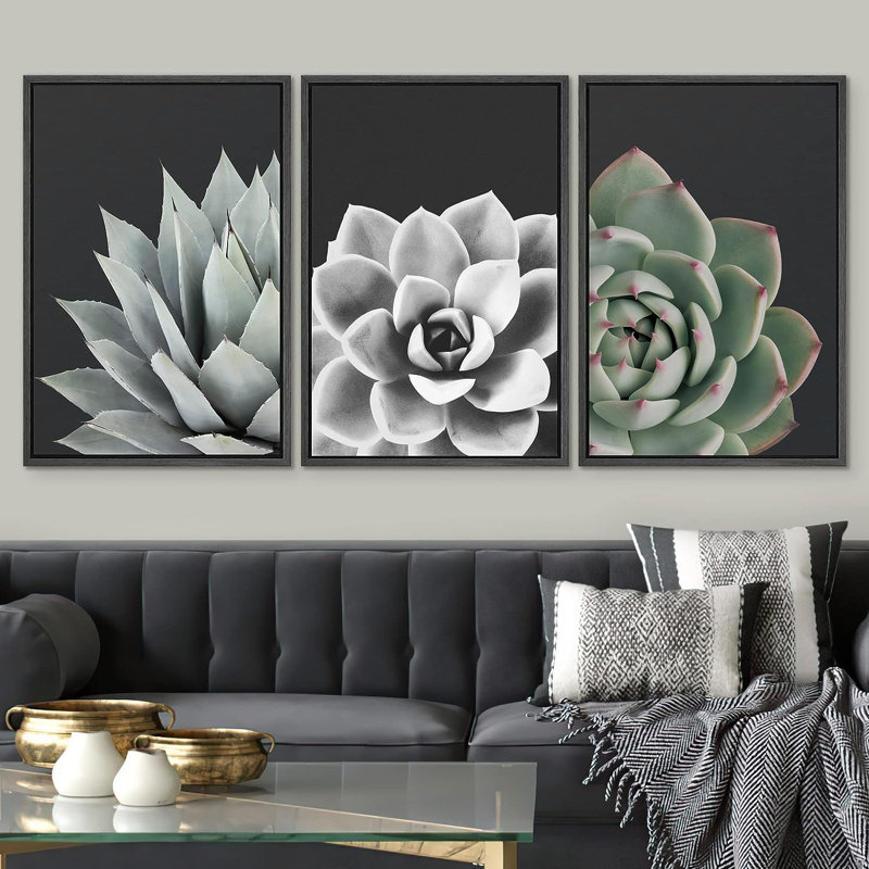 «Black and White Desert Rose Echeveria Succulent Botanical Plants», reproduction encadrée sur toile, 3 pièces, Noir