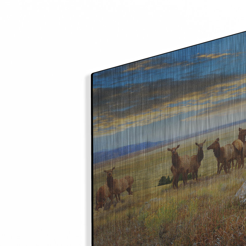 «Cairn Above Elk Refuge» par Chris Vest, H 16 po x l 24 po