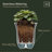 Nadija Pot Planter-14002344