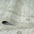 Aldora Misted Sage Power-Loomed Cotton Area Rug-1591734463