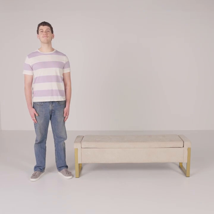 Mercer41 Shanieka 55.3'' W Modern Upholstered Flip Top Storage