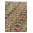 4x6 Peter Multi Rug