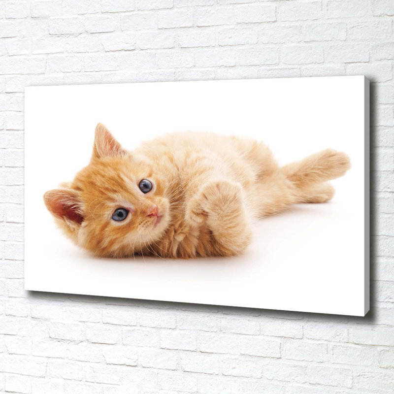 Red Cat - Wrapped Canvas Print