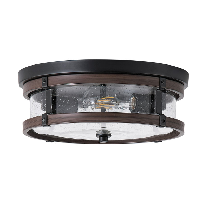 2-Lamp black dimmable glass iron Ceiling light