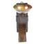 Wall Sconce