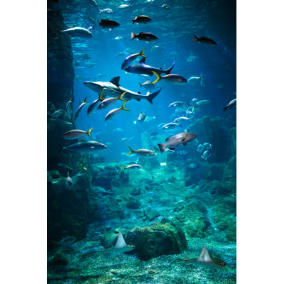 Aquarium - Wrapped Canvas Print